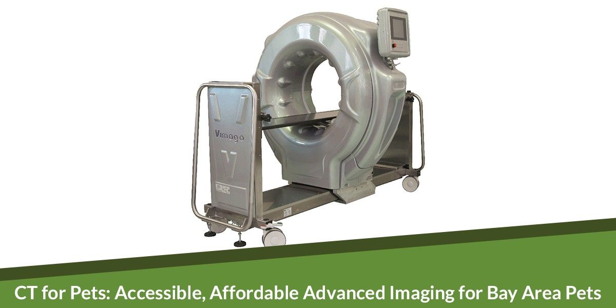 A medical CT scanner for pets on wheels with a control monitor.