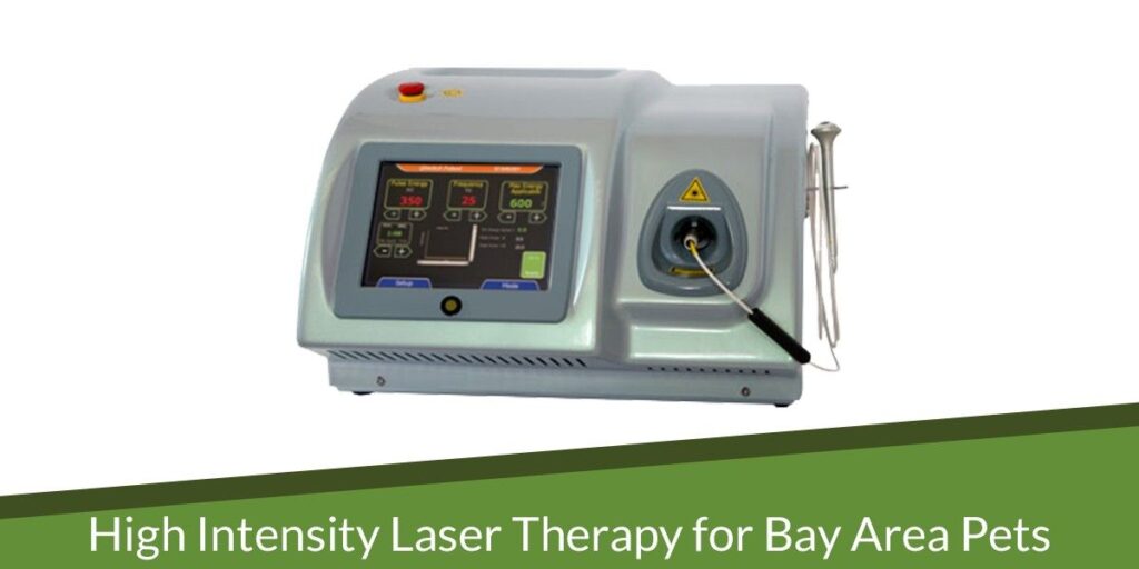 A laser therapy machine with a digital display and control buttons, used for pet treatment.