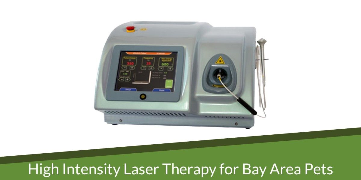 A laser therapy machine with a digital display and control buttons, used for pet treatment.