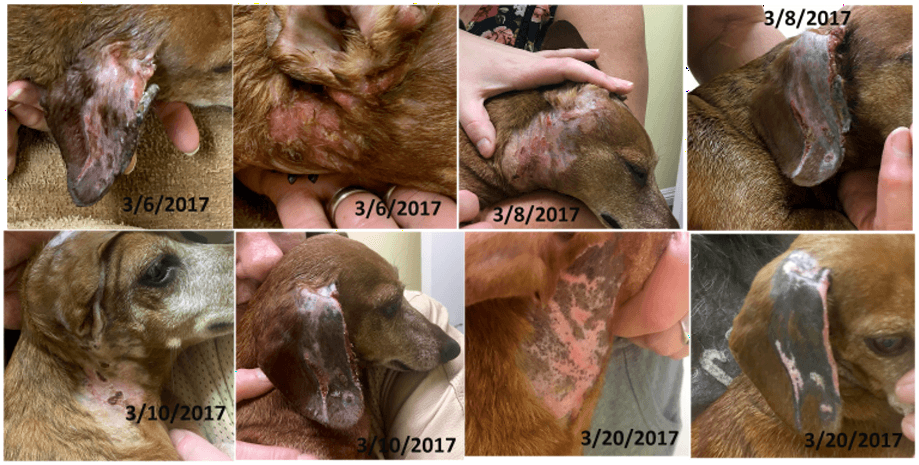 Healing medical image