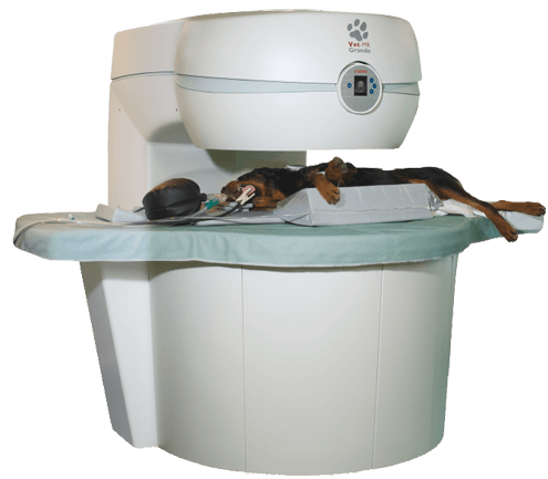 A dog undergoing a veterinary MRI scan, lying still on the machine's table.